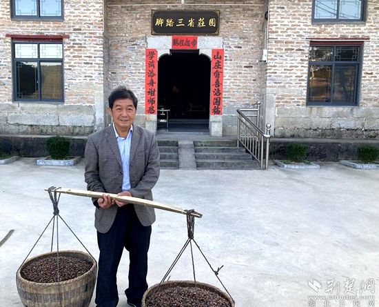 何道關(guān)與自己種的油茶果。黃錚 攝_副本.jpg.jpg