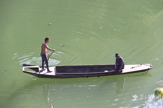 乘船出行、打魚(yú)至今都是盤(pán)山村民生活的一部分 黃錚 攝_副本.jpg