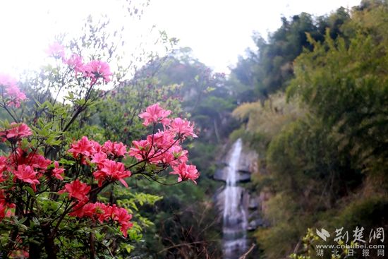 黃龍山頂，風(fēng)景如畫 黃錚 攝_副本.jpg.jpg